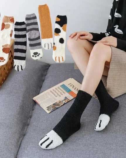 Cozy Pawfect Socks 6PC Dash-4u