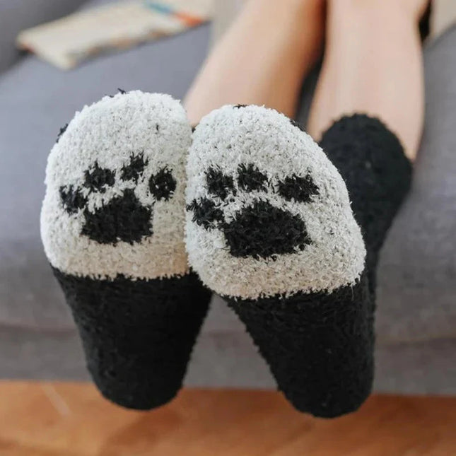 Cozy Pawfect Socks 6PC Dash-4u